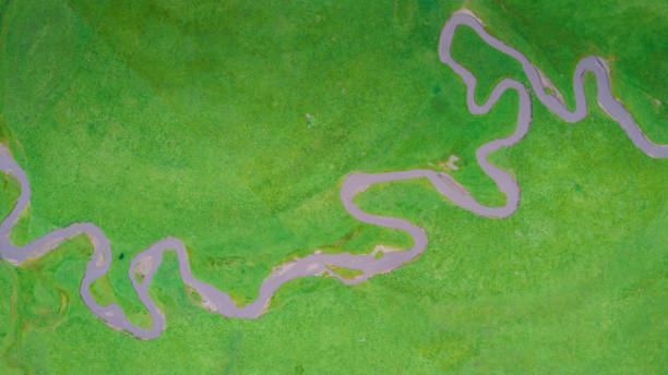 istock Aerial view of winding river 1654962131