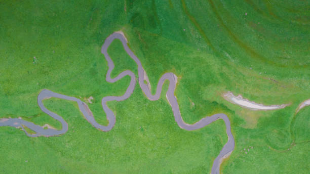 istock Aerial view of winding river 1654962137
