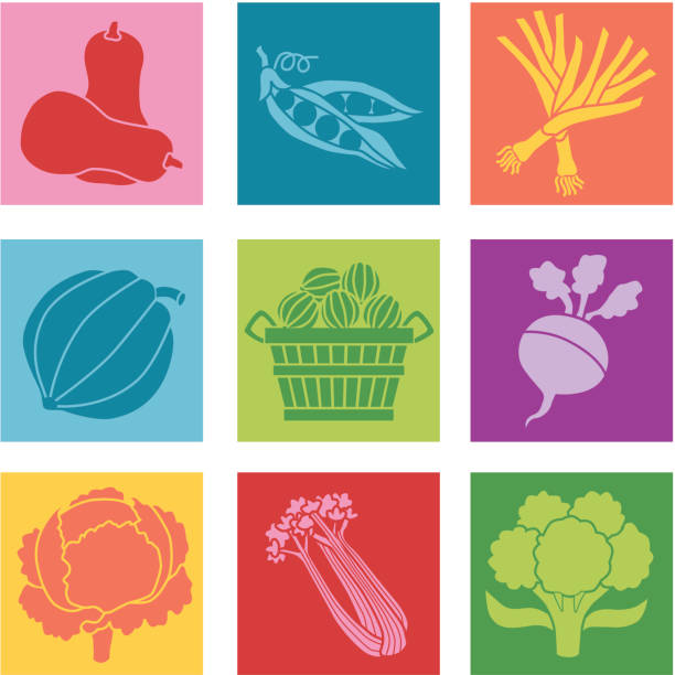 Vegetable illustration with contrast and strong colors Vector icons of vegetables. cruciferous vegetables stock illustrations