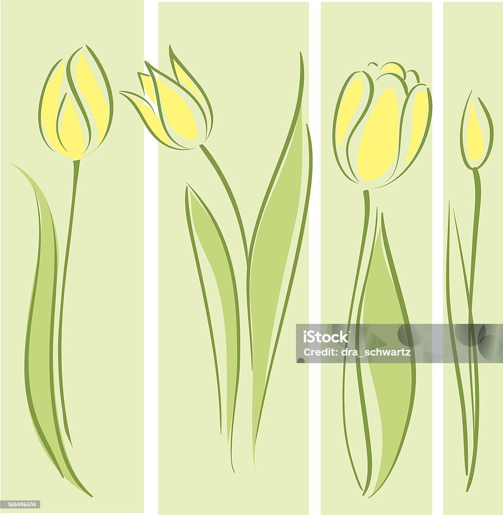 Tulipe - clipart vectoriel de Tulipe libre de droits