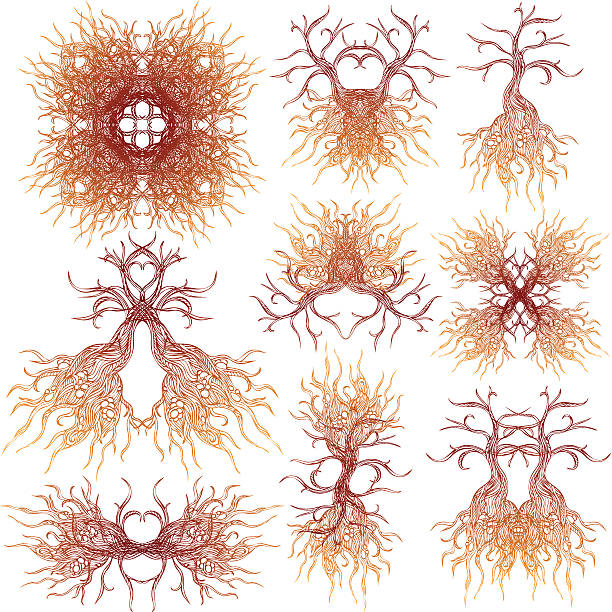 Tree Roots Combining 1,300+ Tree Roots Intertwined Stock Photos, Pictures & Royalty-Free ...