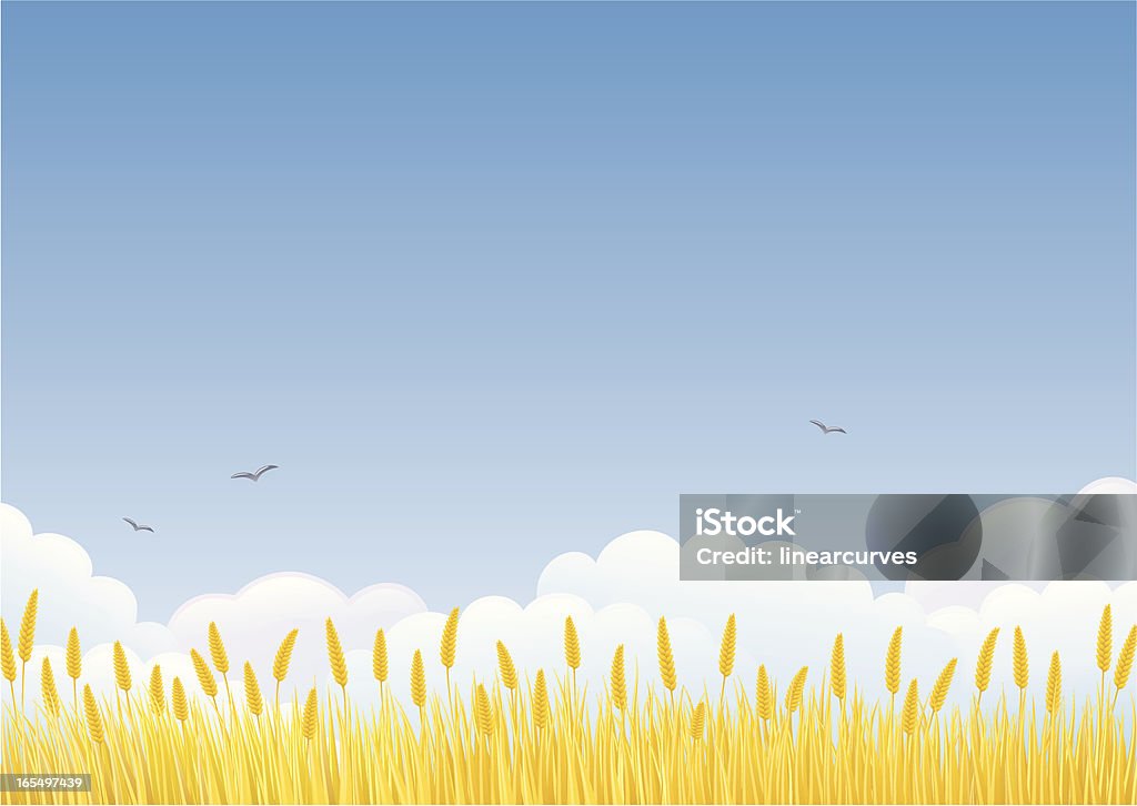 Wheat field Wheat field against blue sky and clouds. Wheat stock vector