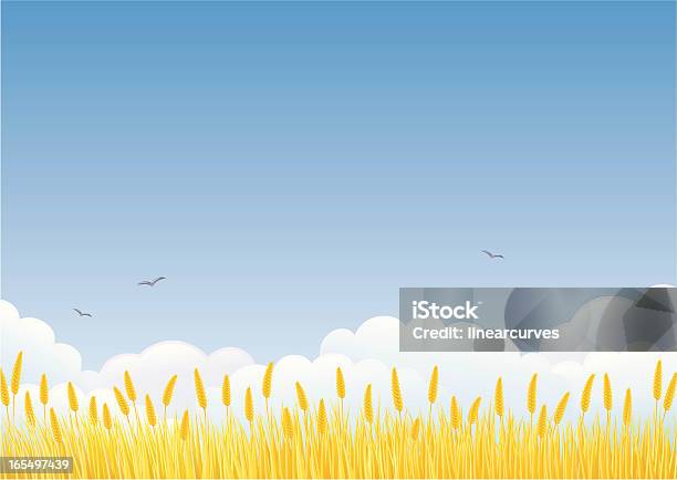 Wheat Field Stock Illustration - Download Image Now - Wheat, Agricultural Field, Landscape - Scenery