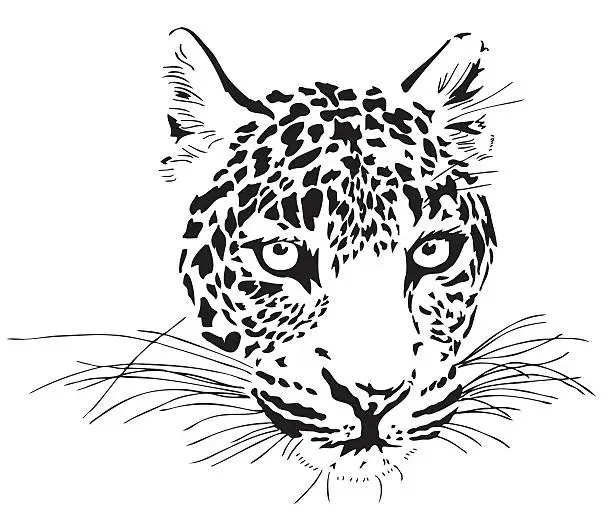 Vector illustration of Leopard portrait