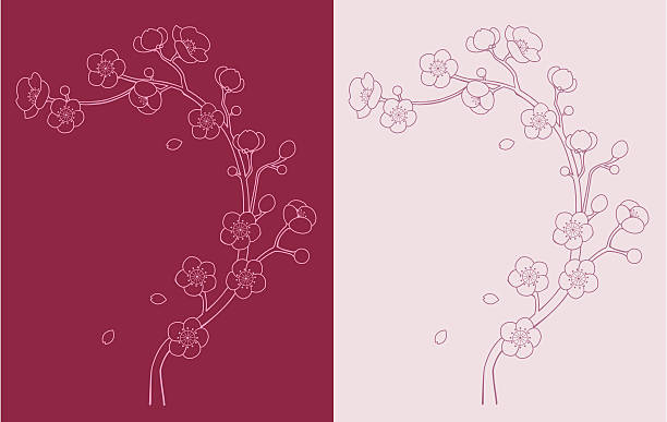 sakura / cherry blossom vine Outline of a branch of Sakura / cherry blossom. Perfect to be an element in your DIY wedding invitation. petal illustrations stock illustrations