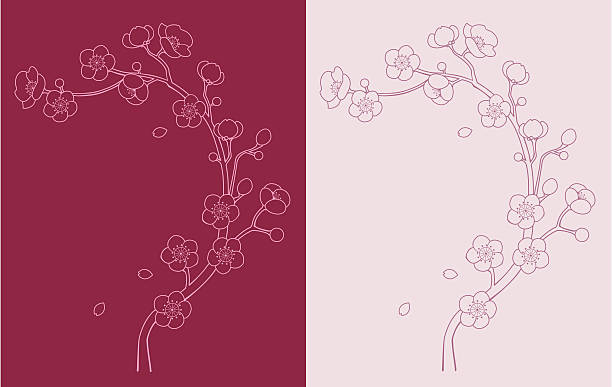 sakura / cherry blossom vine Outline of a branch of Sakura / cherry blossom. Perfect to be an element in your DIY wedding invitation. cherry flower pattern stock illustrations