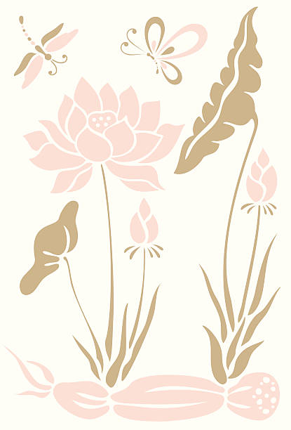 ilustrações, clipart, desenhos animados e ícones de butterfly, dragonfly & flores de lótus - flower single flower zen like lotus