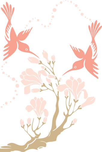 Vector Illustration of two hummingbirds couple and magnolia flowers.