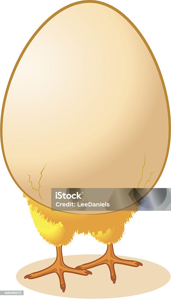 Chick de un huevo - arte vectorial de Huevo - Etapa de animal libre de derechos