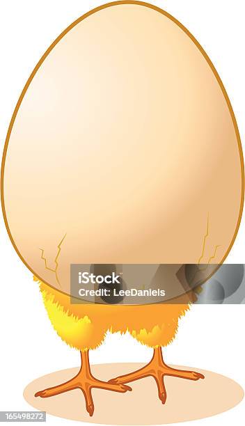 Ilustración de Chick De Un Huevo y más Vectores Libres de Derechos de Huevo - Etapa de animal - Huevo - Etapa de animal, Pollito, Pata de animal - Pierna