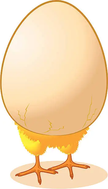 Vector illustration of Chick in an Egg