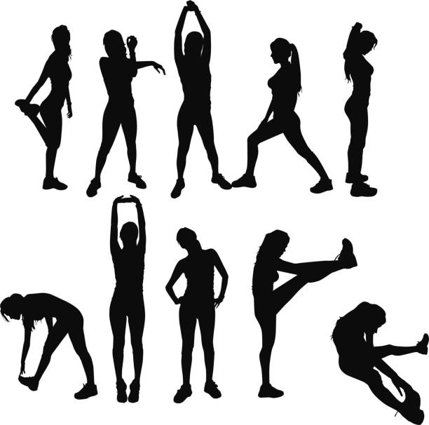 ilustraciones, imágenes clip art, dibujos animados e iconos de stock de gimnasio ejercicios de siluetas - stretching exercising gym silhouette