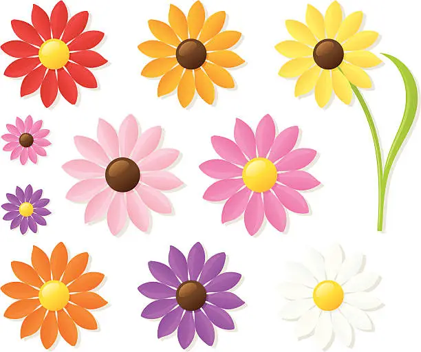 Vector illustration of Many different colored daisies