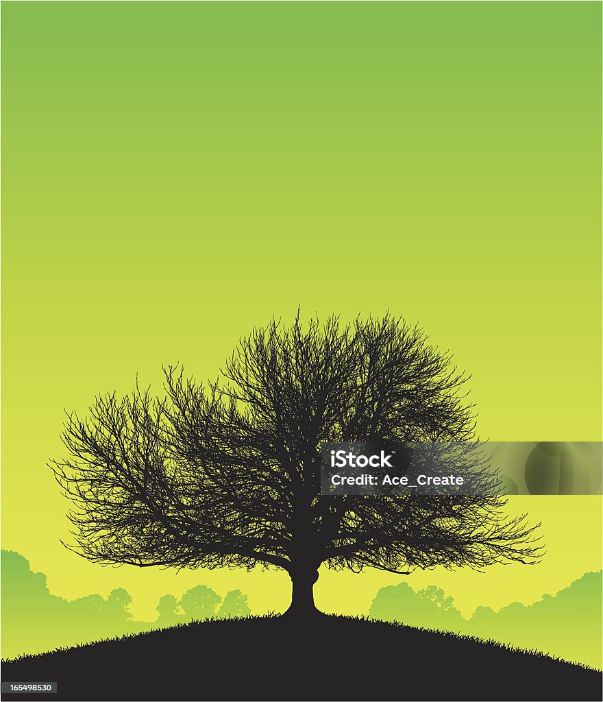 Baum of wissen - Lizenzfrei Baum Vektorgrafik