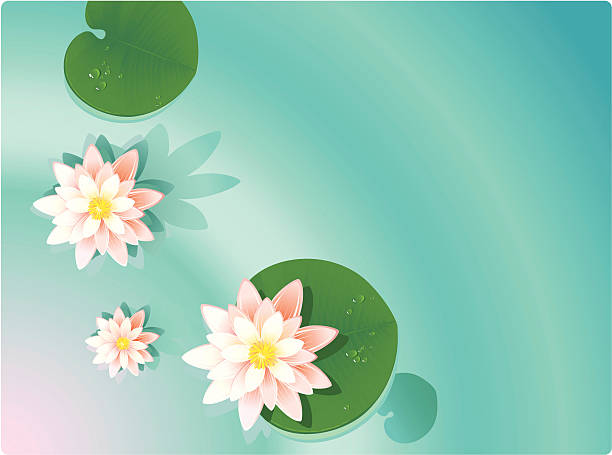 여름 배경기술 - water lily stock illustrations