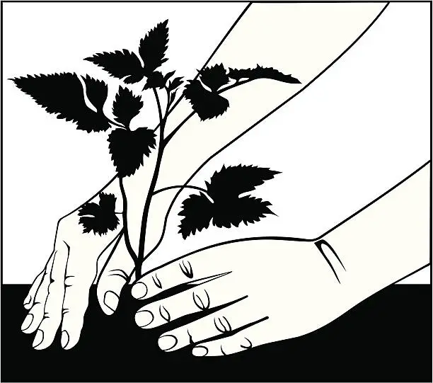Vector illustration of Growth