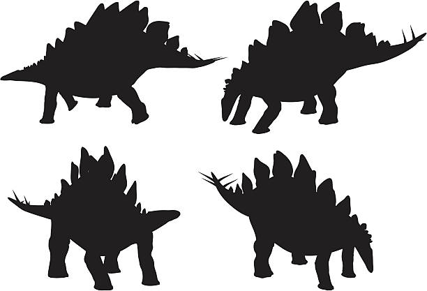 illustrazioni stock, clip art, cartoni animati e icone di tendenza di stegosauro silhouette collezione - stegosauro