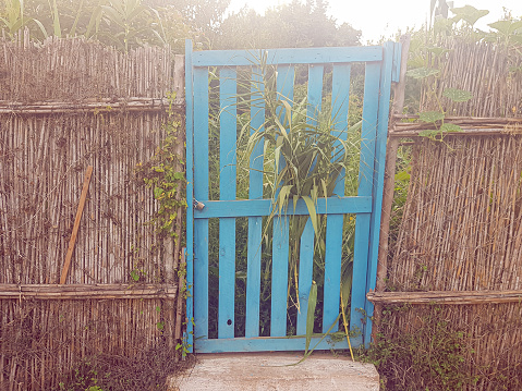 Blue wood door in a reed wall. The door is simple and rustic, but it is also elegant and inviting. The reed wall is a natural material that provides a sense of warmth and rustic authenticity