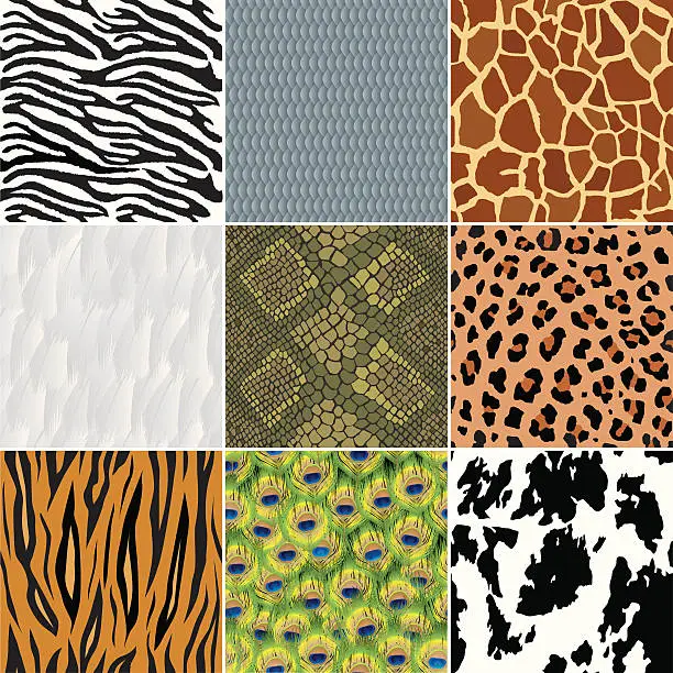 Vector illustration of Seamless animal wallpapers (backgrounds)