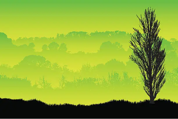 Vector illustration of Green rural view with tree silhouette.