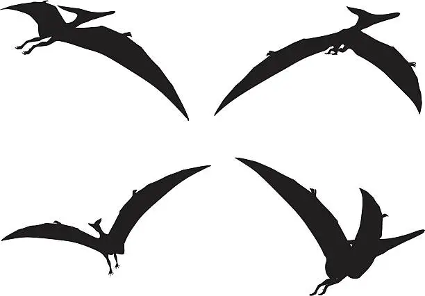 Vector illustration of Terradactyl Silhouette Collection