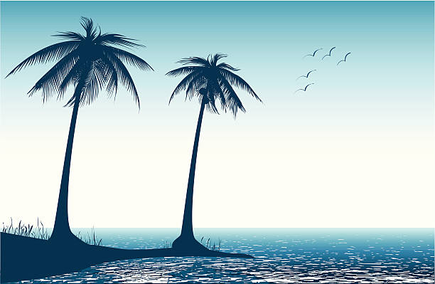 illustrations, cliparts, dessins animés et icônes de palmier sur la plage-illustration - palm tree leaf tree frond
