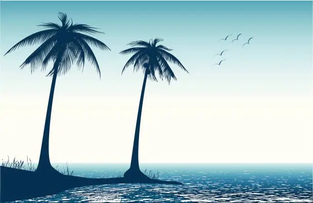 Vector illustration of Palm tree on beach - VECTOR