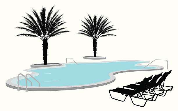 ilustraciones, imágenes clip art, dibujos animados e iconos de stock de floridapool - focus on shadow vacations outdoors digitally generated image
