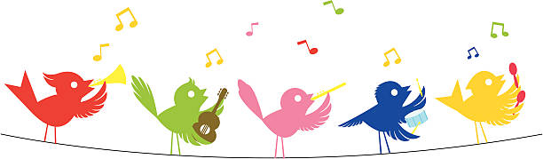 드라세나 새 - birdsong young bird bird music stock illustrations