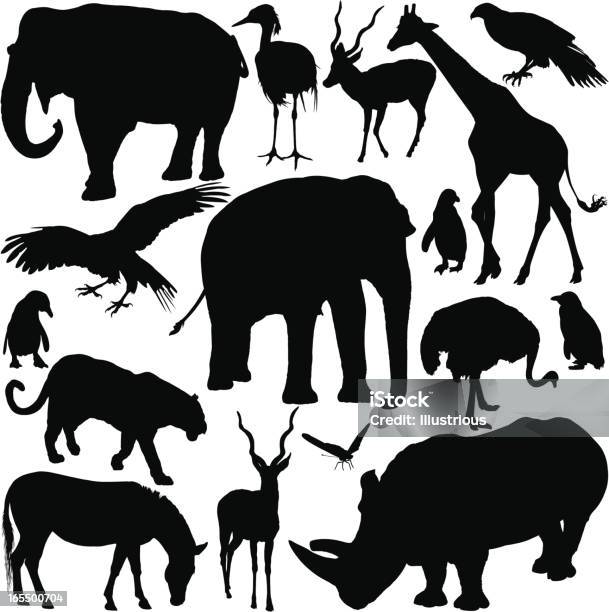 Zoo Zwierzęta Sylwetki Serii - Stockowe grafiki wektorowe i więcej obrazów Sylwetka - Sylwetka, Większy Kudu, Clip Art