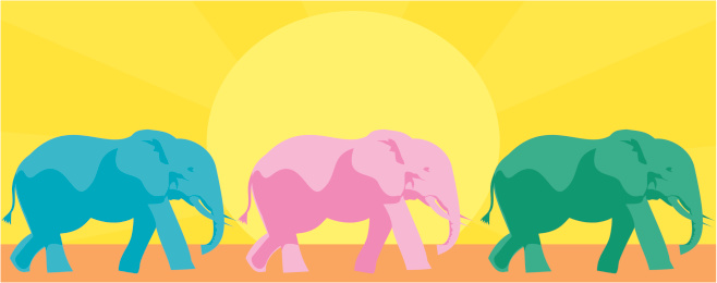 Multicoloured Elephants