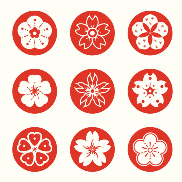 Sakura graphic elements vector art illustration