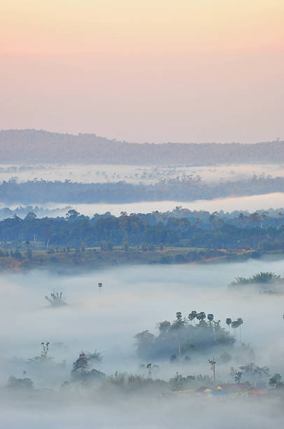 Sea of mist in the morning stock photo