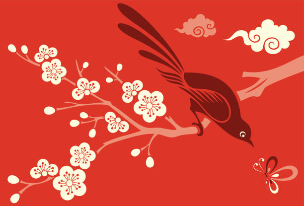 cherry blossom, птица & бабочка - вишня дерево stock illustrations