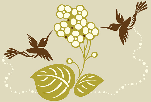 Vector Illustration of two hummingbirds couple and hydrangeas flowers.