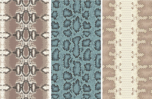 bezproblemową skóra węża#2 - snakeskin snake animal skin pattern stock illustrations