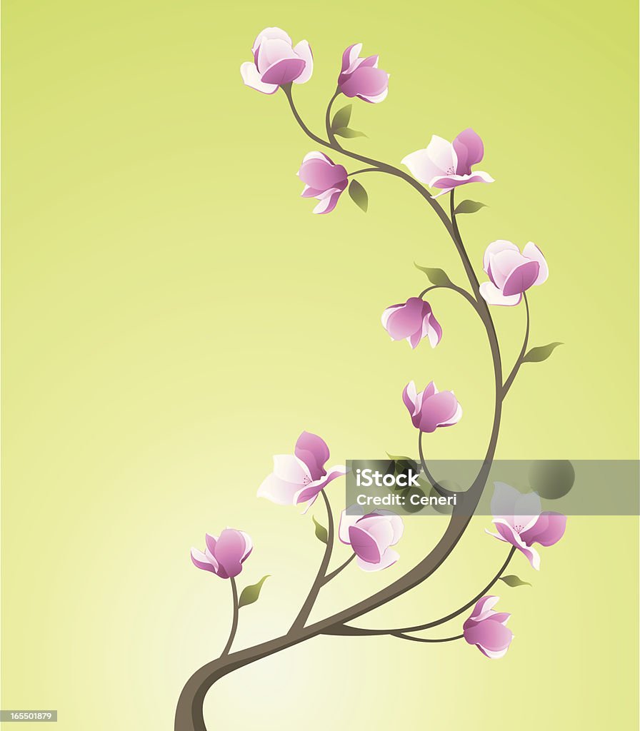 magnolia a curvy magnolia branch on top of a green background. Related collections: Flower stock vector
