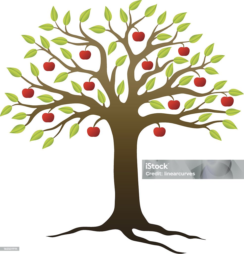 Apple tree For more trees please view my Apple Tree stock vector