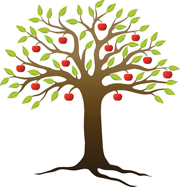 Apple tree vector art illustration