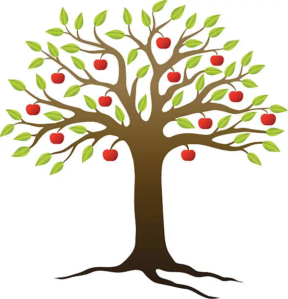 Vector illustration of Apple tree