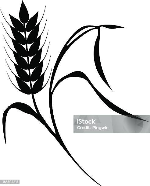 Maïs Vecteurs libres de droits et plus d'images vectorielles de Agriculture - Agriculture, Blé, Circonvolution