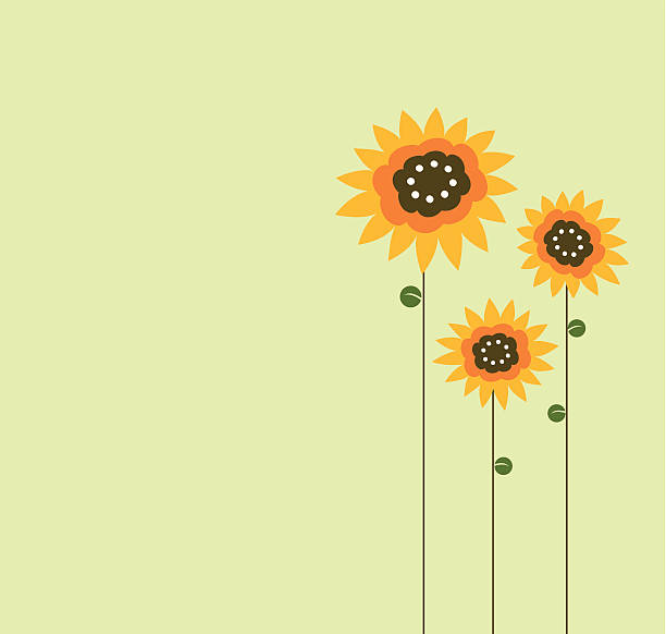 Three sunflower drawn on left side of green background Absctract sunflowers family standing on together. orange sunflower stock illustrations