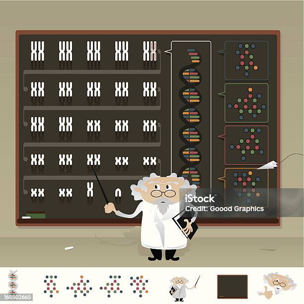 Costas Na Aula De Biologia Como Funciona O Adn - Arte vetorial de stock e mais imagens de ADN - ADN, Adenina, Adulto