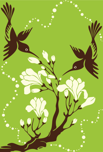 Vector Illustration of two hummingbirds couple and magnolia flowers.