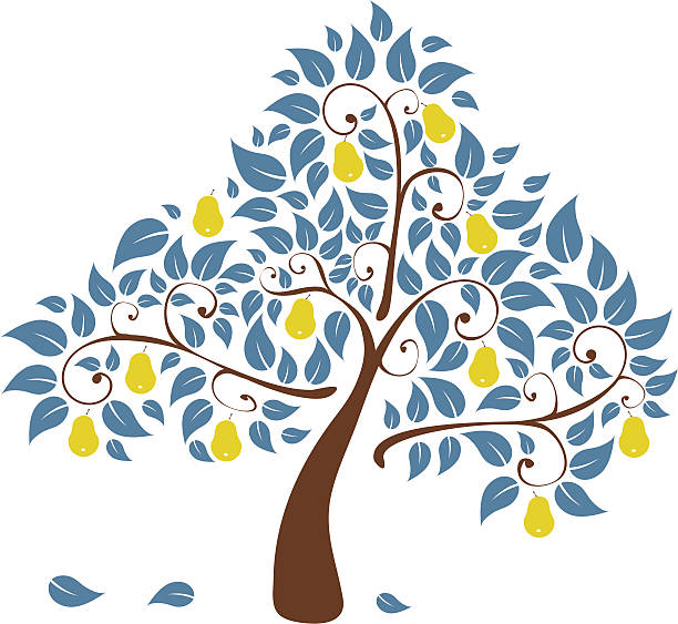 pear tree vector art illustration