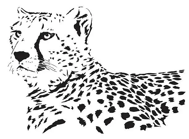 Vector illustration of Cheetah vector