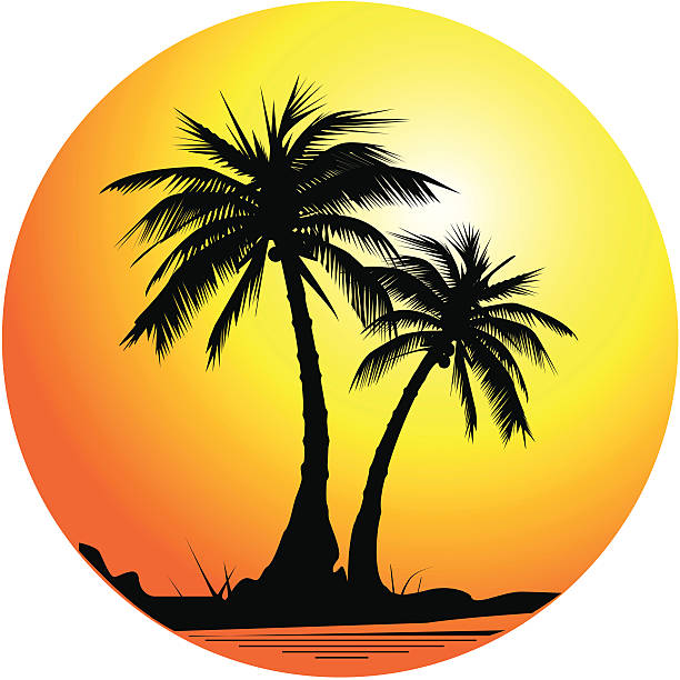illustrations, cliparts, dessins animés et icônes de palm tree backgrond-illustration - palm tree leaf tree frond