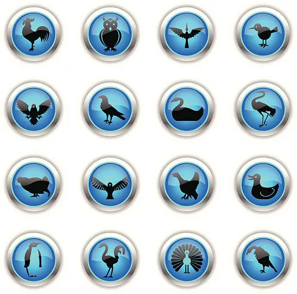 Vector illustration of Blue Icons - Birds