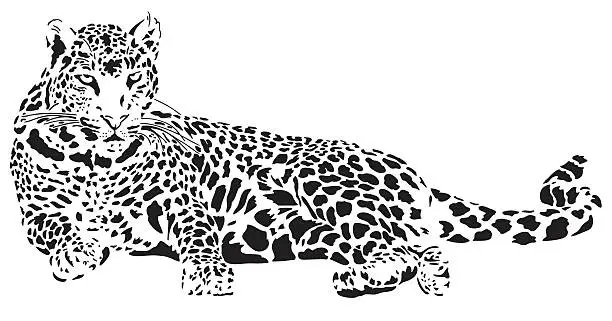 Vector illustration of Leopard illustration