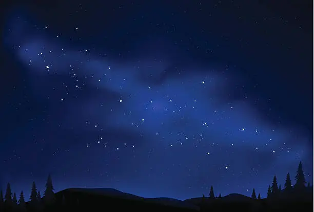 Vector illustration of starry night